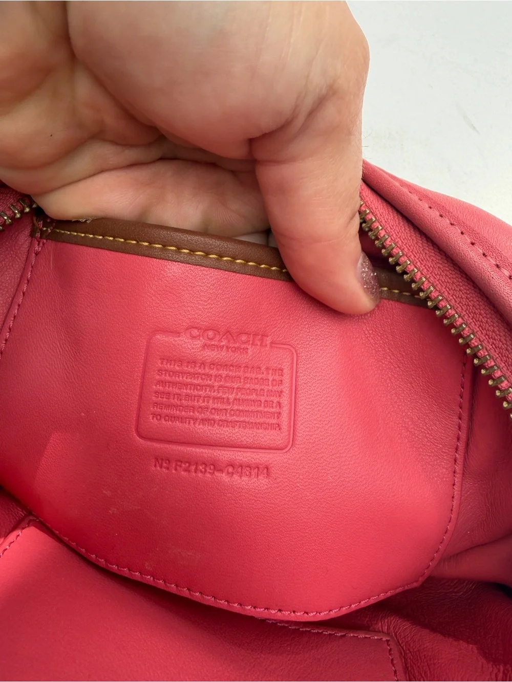 Coach Watermelon Camera Bag